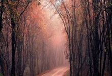 顶尖对手碰撞精彩对决激情上演