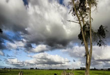 足球赛事中，中国队夺取胜利！