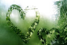 江苏男篮客场难胜，实力超群收获一场胜利