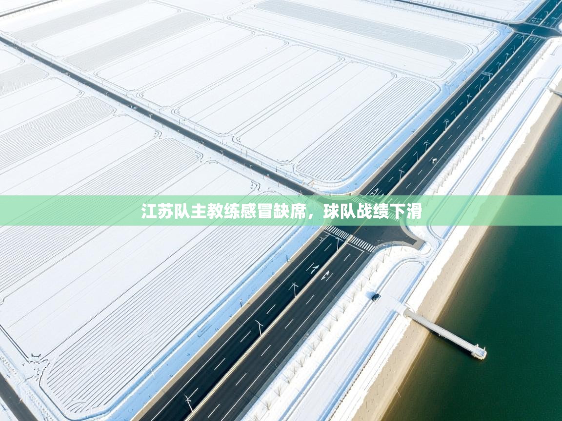 江苏队主教练感冒缺席，球队战绩下滑