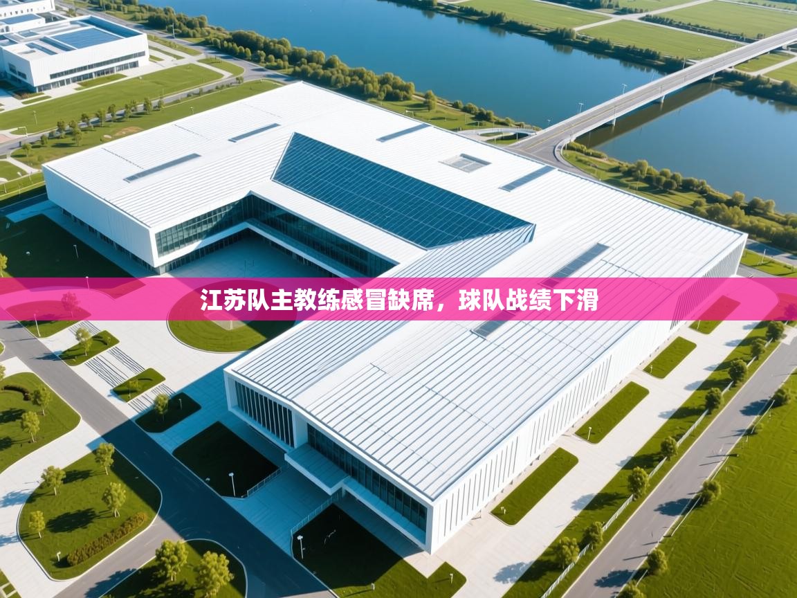 江苏队主教练感冒缺席，球队战绩下滑  第2张