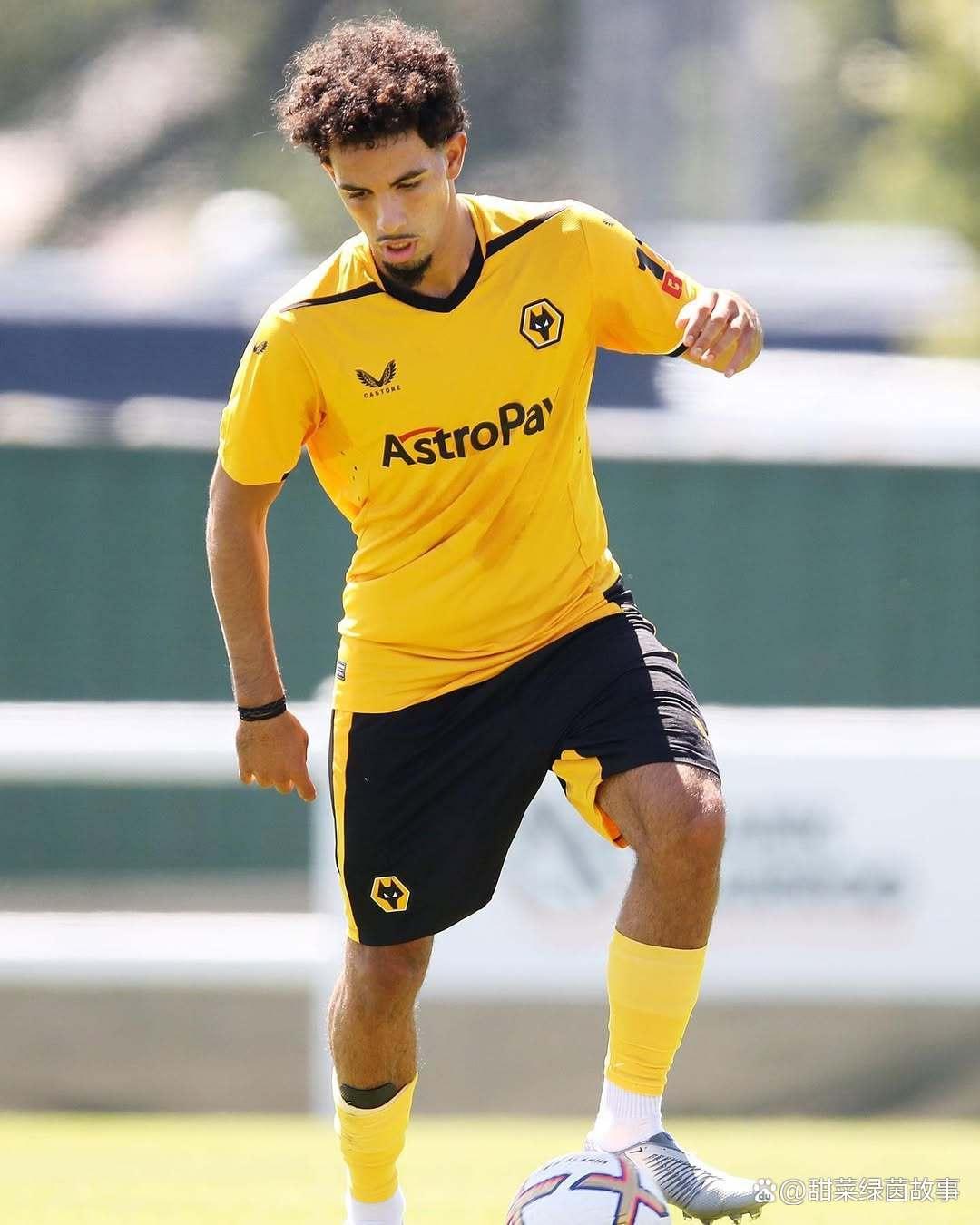 关于伯恩茅斯主场不敌狼队，遭遇两连败的信息